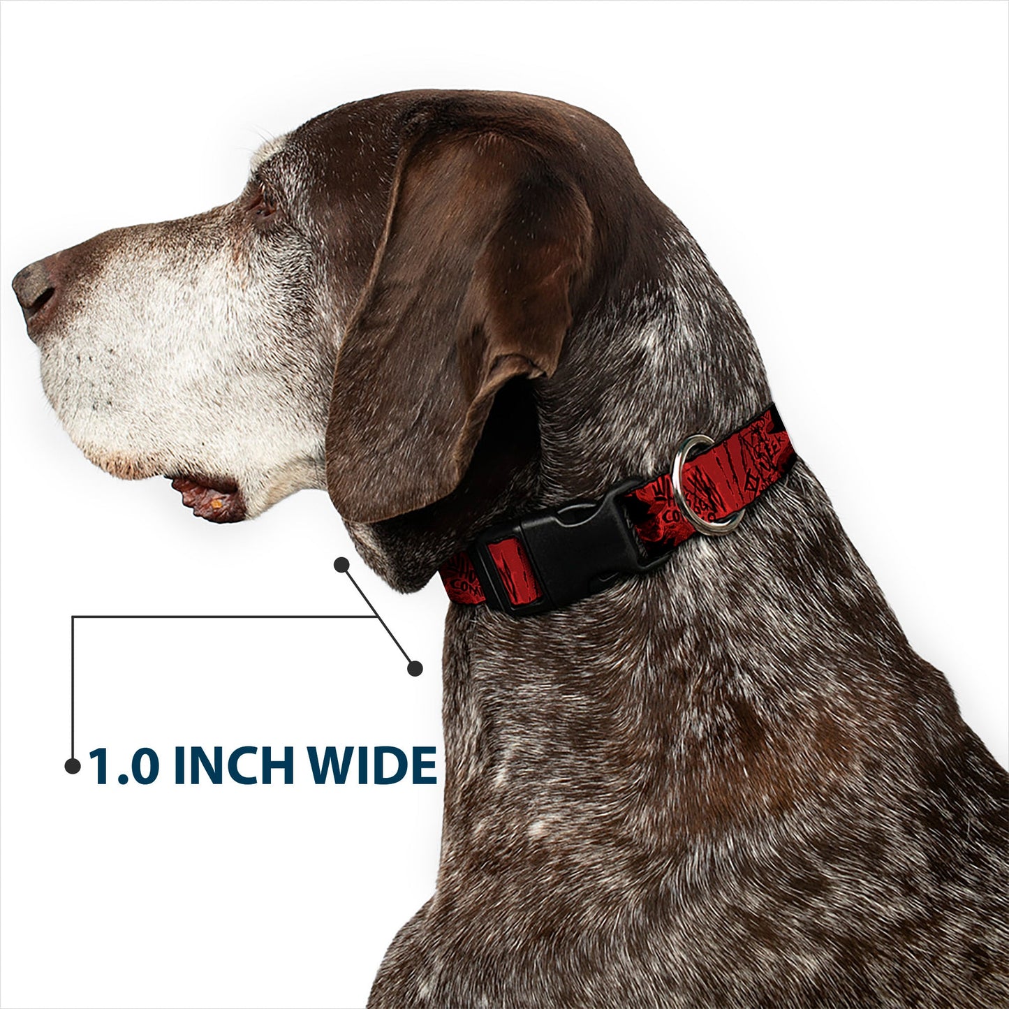 Freddy Poses Hand Scratching Plastic Clip Dog Collar