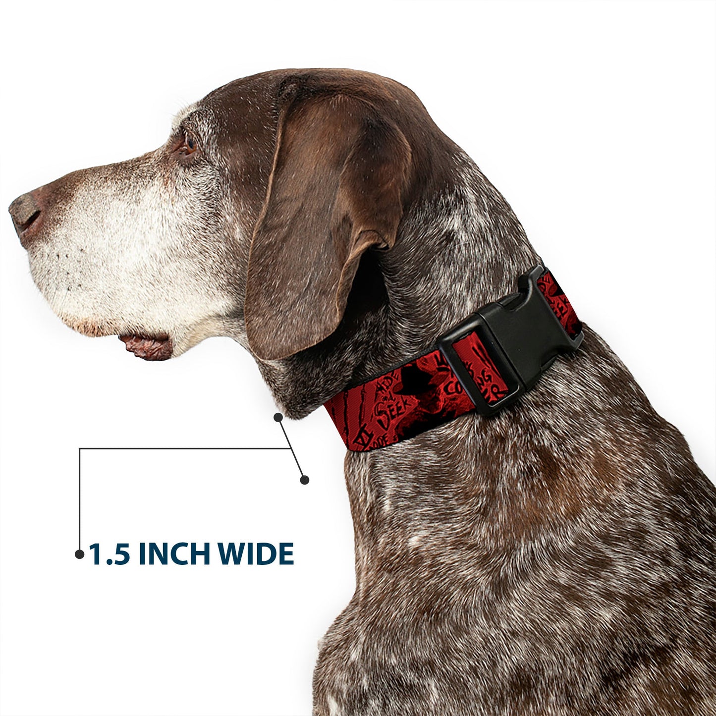 Freddy Poses Hand Scratching Plastic Clip Dog Collar