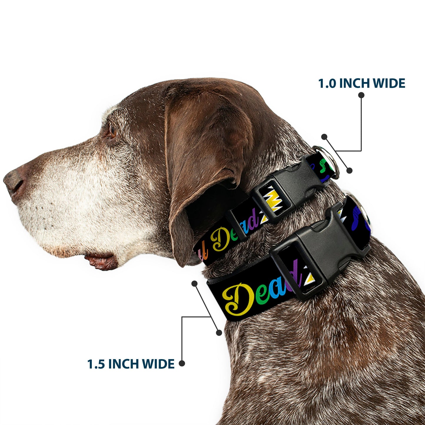 Grateful Dead Script with Bears and Skeletons Plastic Clip Collar