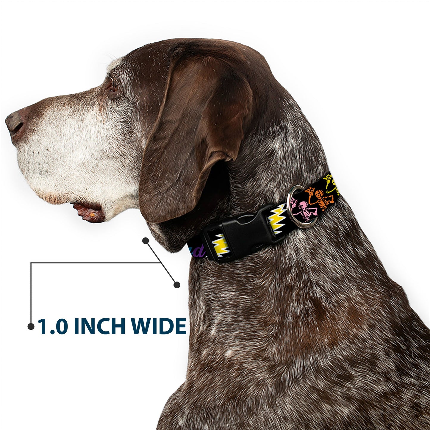 Grateful Dead Script with Bears and Skeletons Plastic Clip Collar