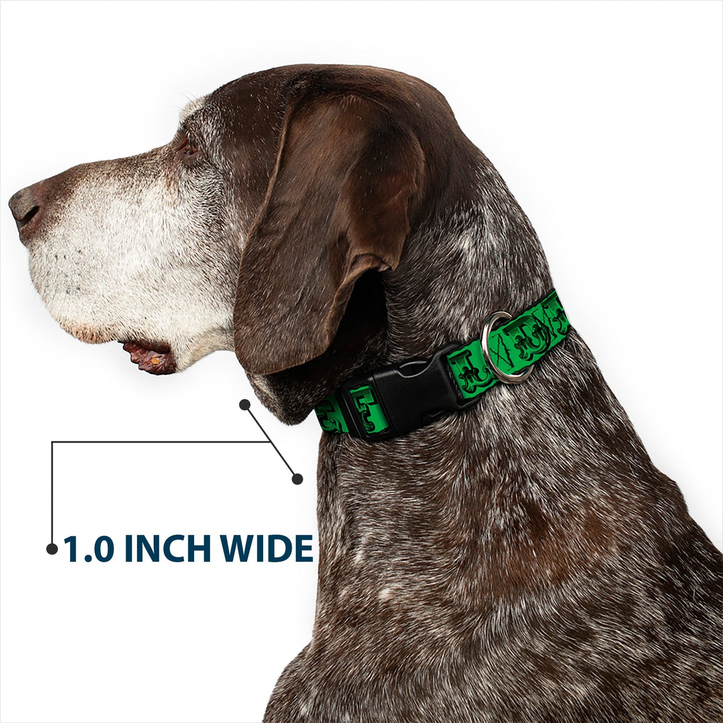 Grateful Dead Text with Skull & Roses Plastic Clip Collar