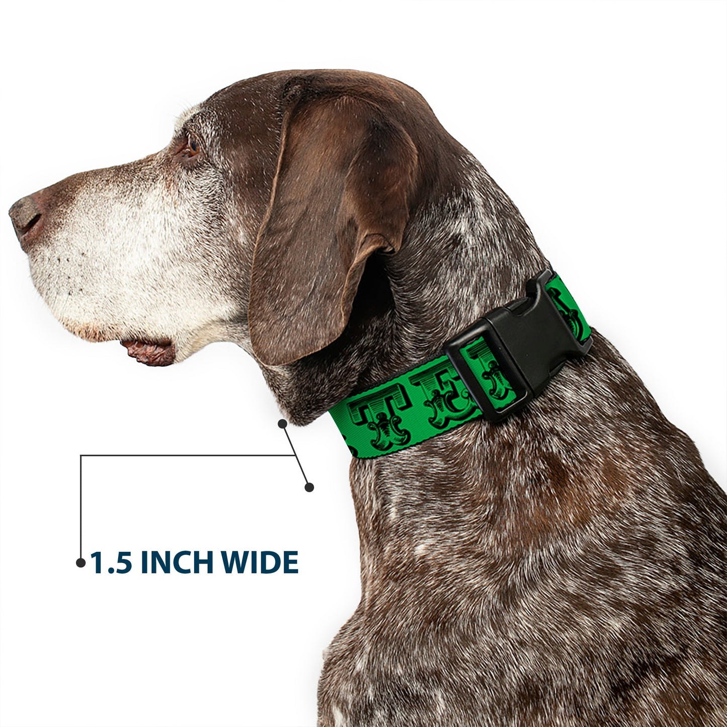 Grateful Dead Text with Skull & Roses Plastic Clip Collar
