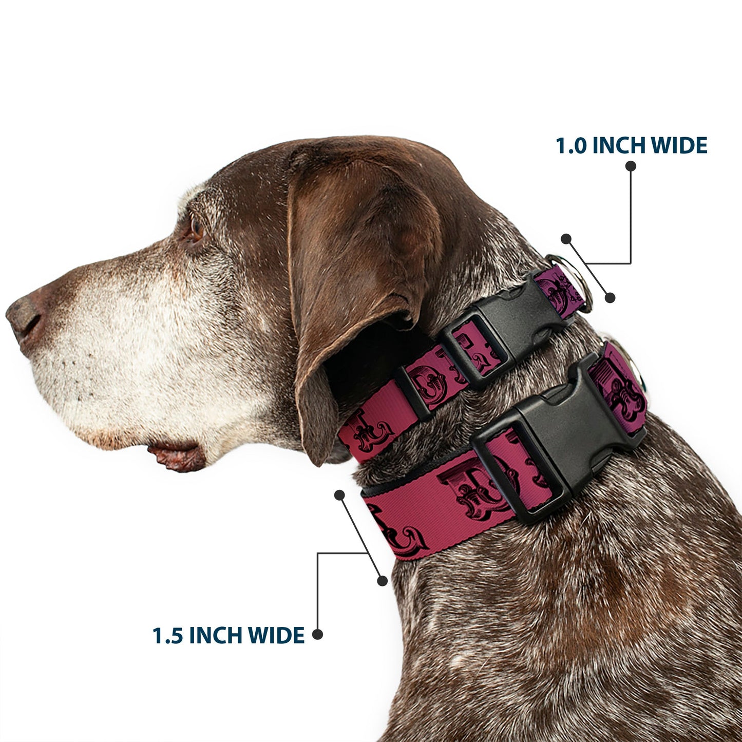 Grateful Dead Text with Skull and Roses Rainbow Fade Plastic Clip Collar