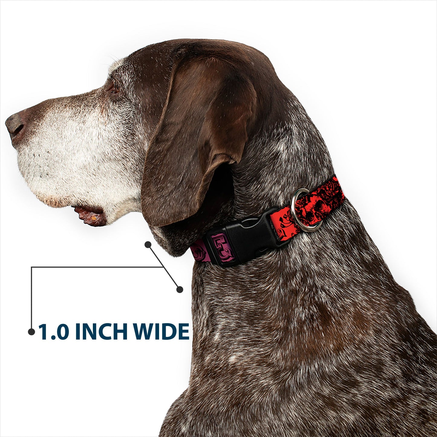 Grateful Dead Text with Skull and Roses Rainbow Fade Plastic Clip Collar