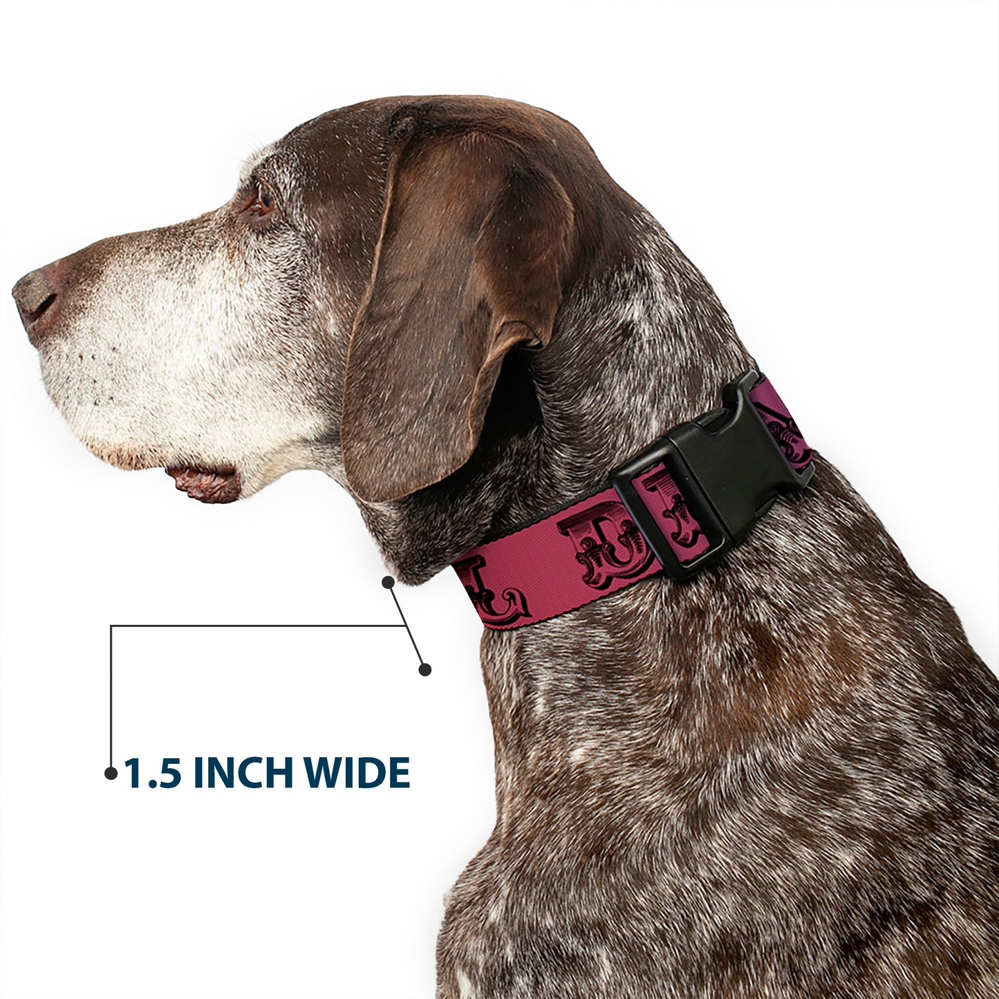 Grateful Dead Text with Skull and Roses Rainbow Fade Plastic Clip Collar
