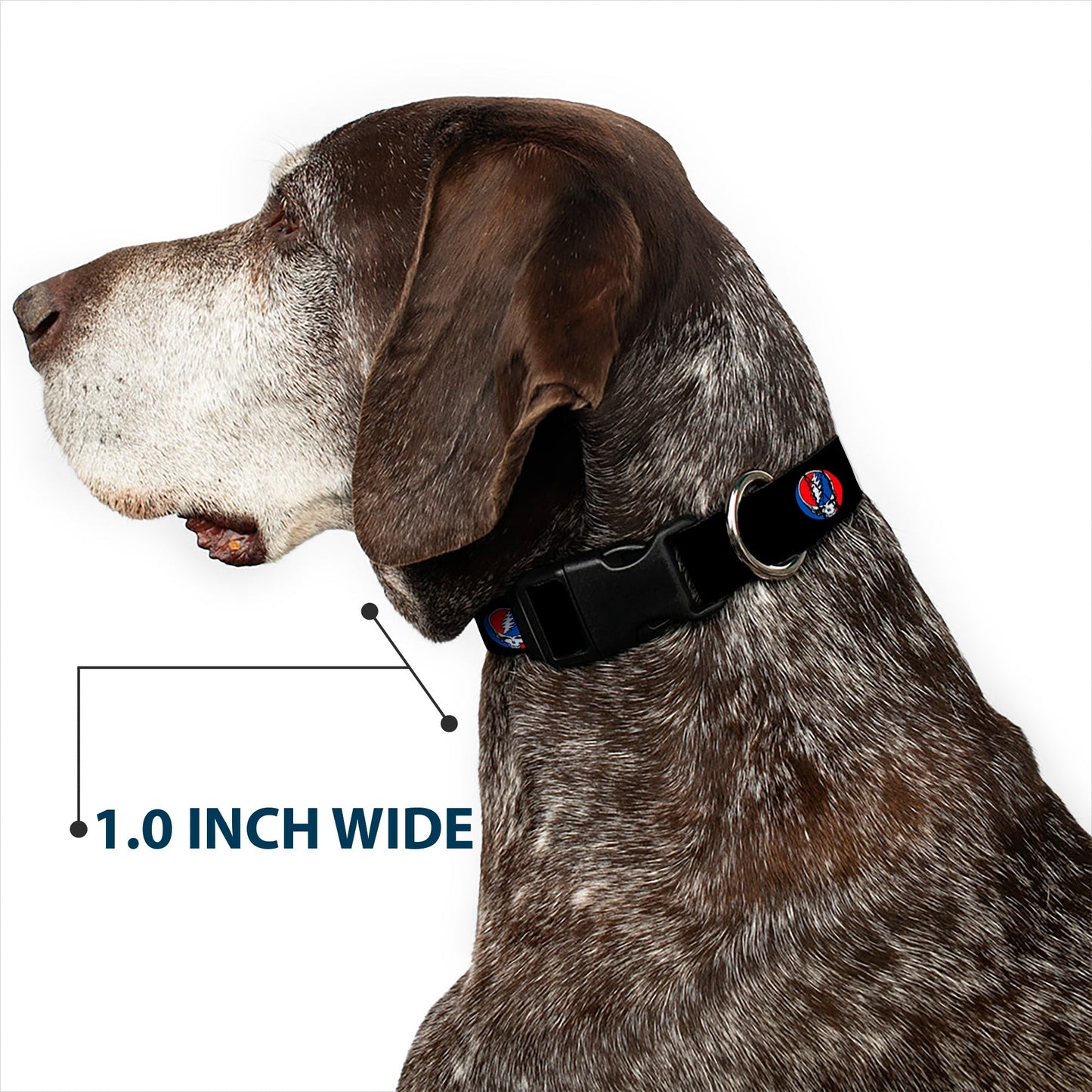 Grateful Dead Steal Your Face Plastic Clip Collar