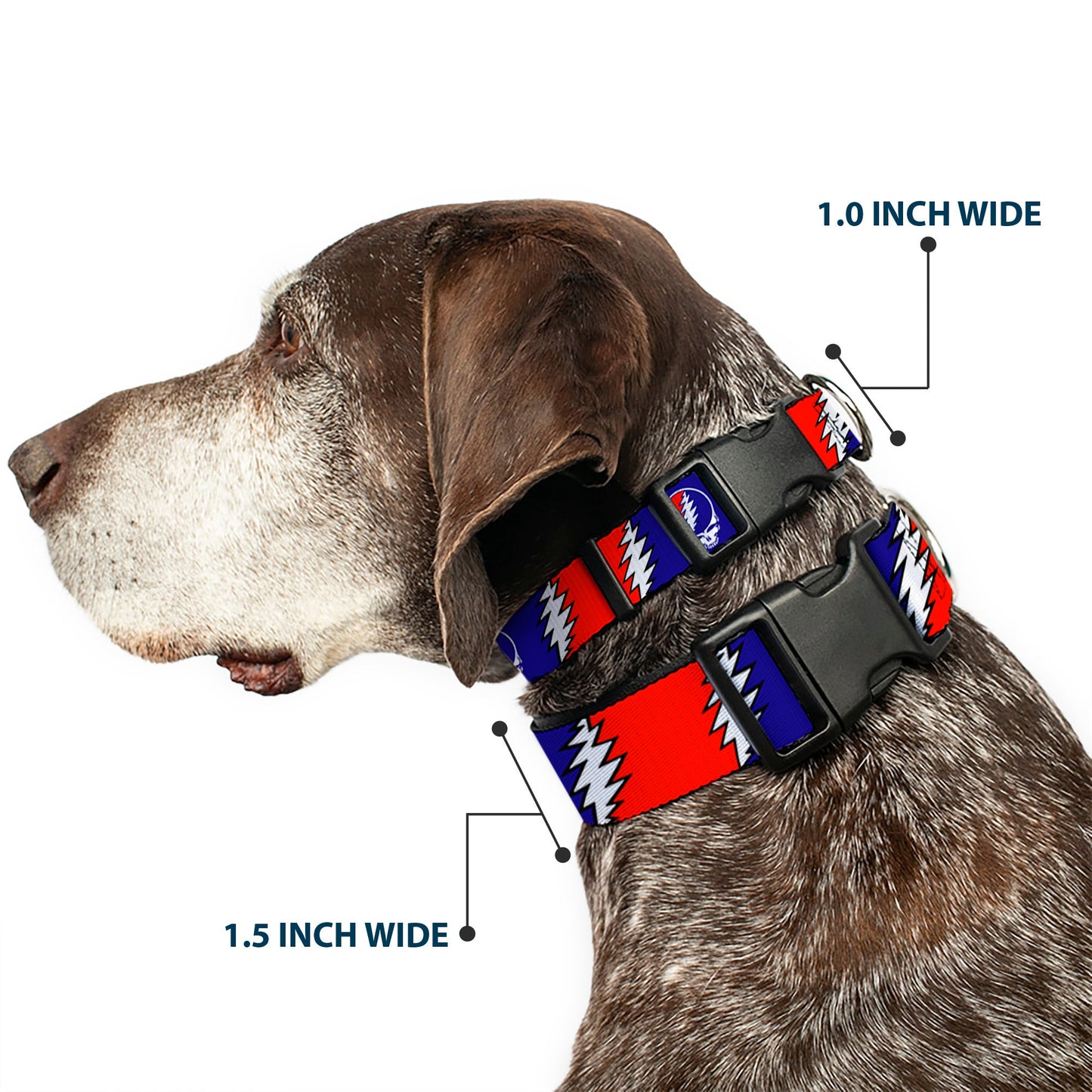 Grateful Dead Steal Your Face with Lightning Bolt Plastic Clip Collar