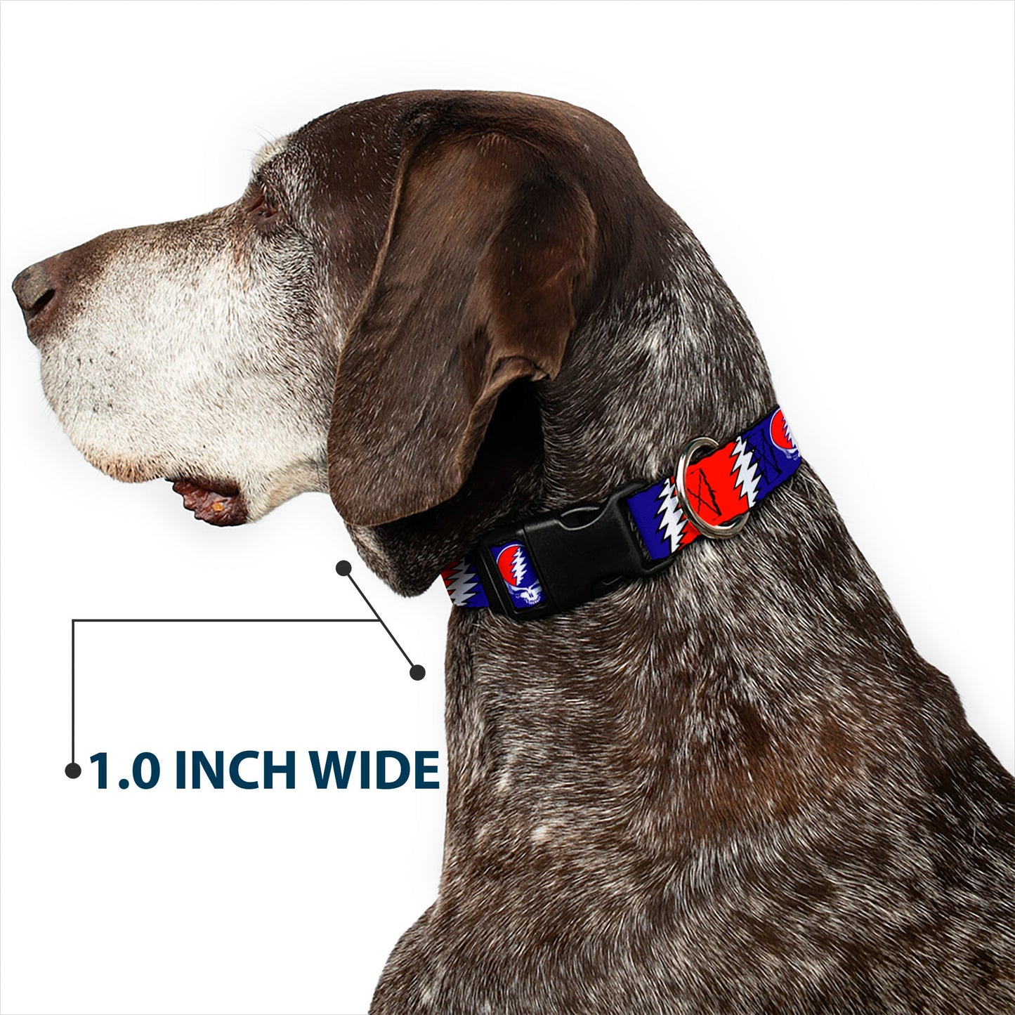 Grateful Dead Steal Your Face with Lightning Bolt Plastic Clip Collar