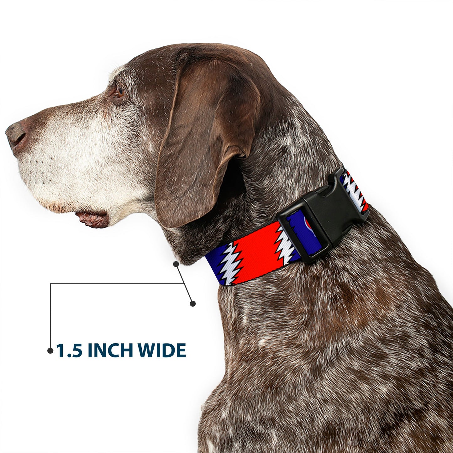 Grateful Dead Steal Your Face with Lightning Bolt Plastic Clip Collar