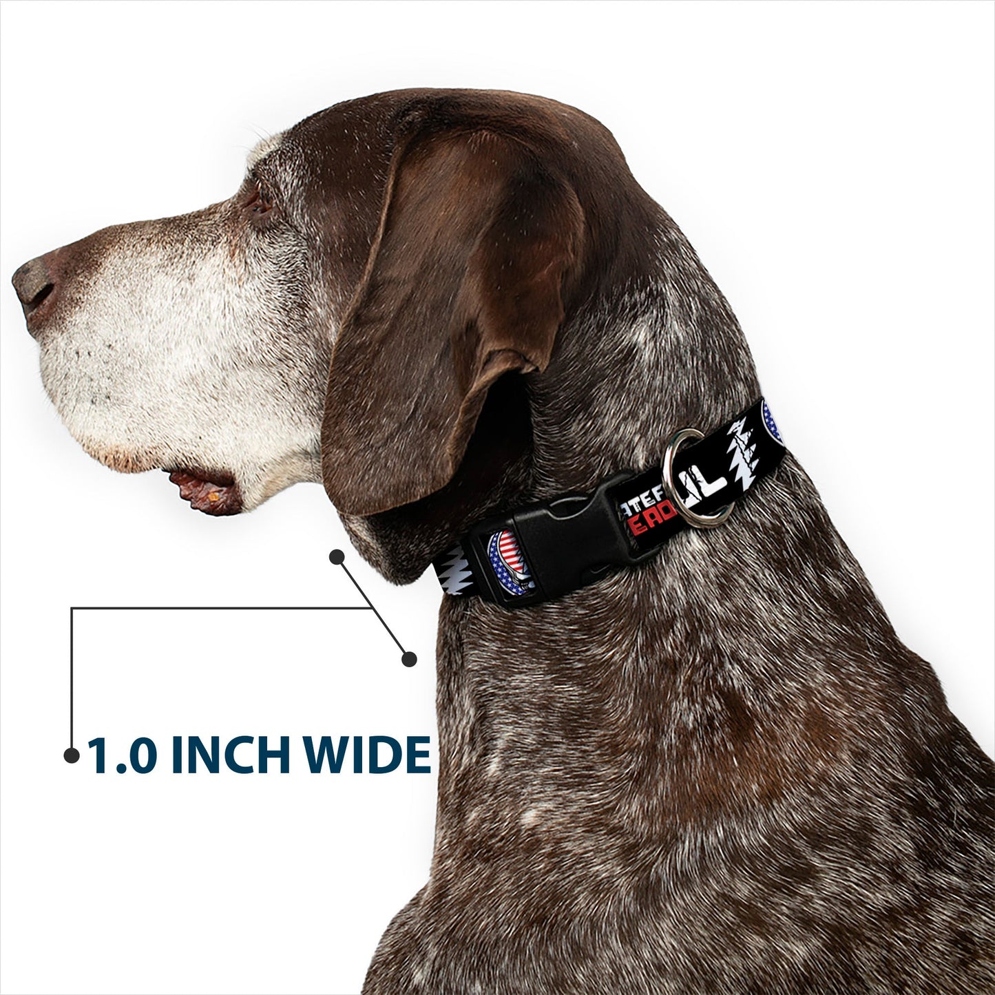 Grateful Dead Steal Your Face Stars and Stripes Plastic Clip Collar