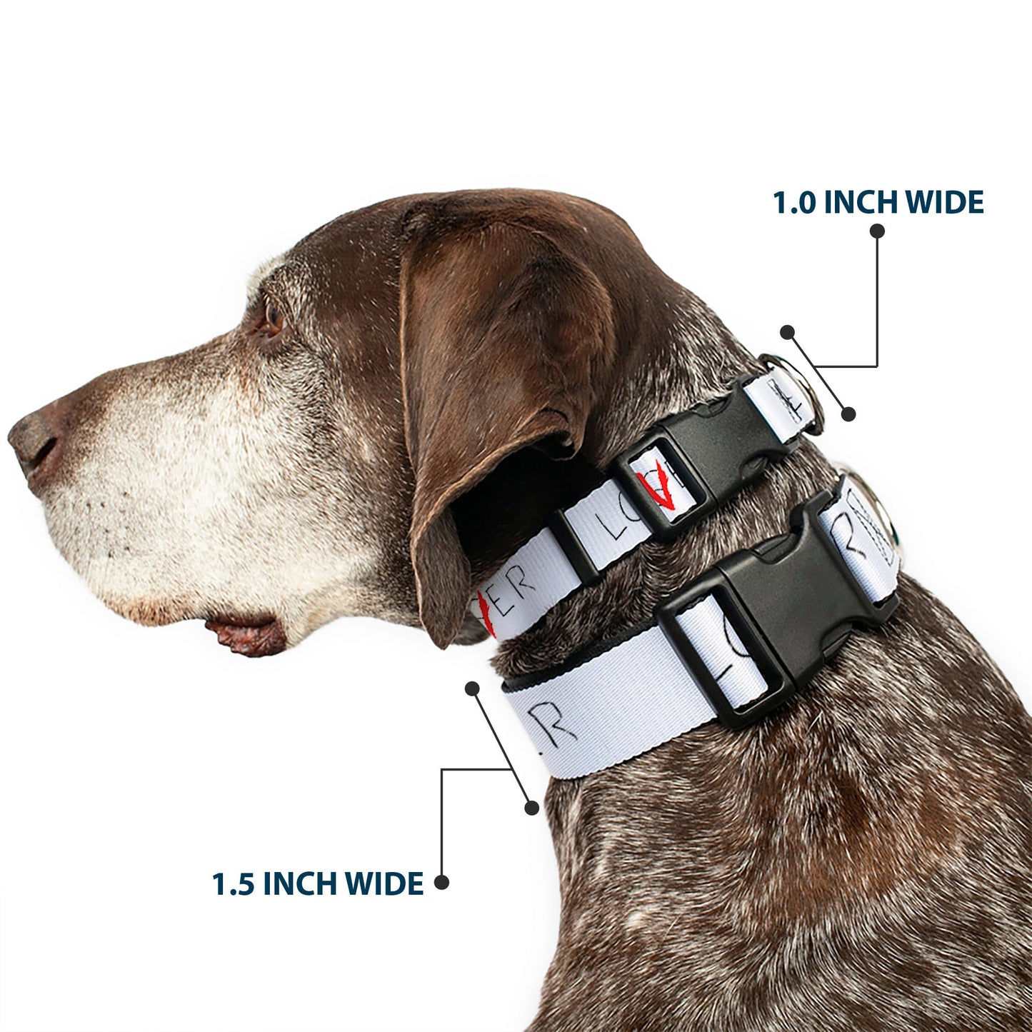 IT Chapter Two Loser Lover Plastic Clip Dog  Collar