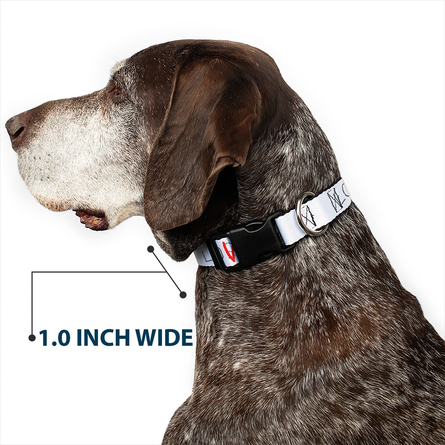 IT Chapter Two Loser Lover Plastic Clip Dog  Collar