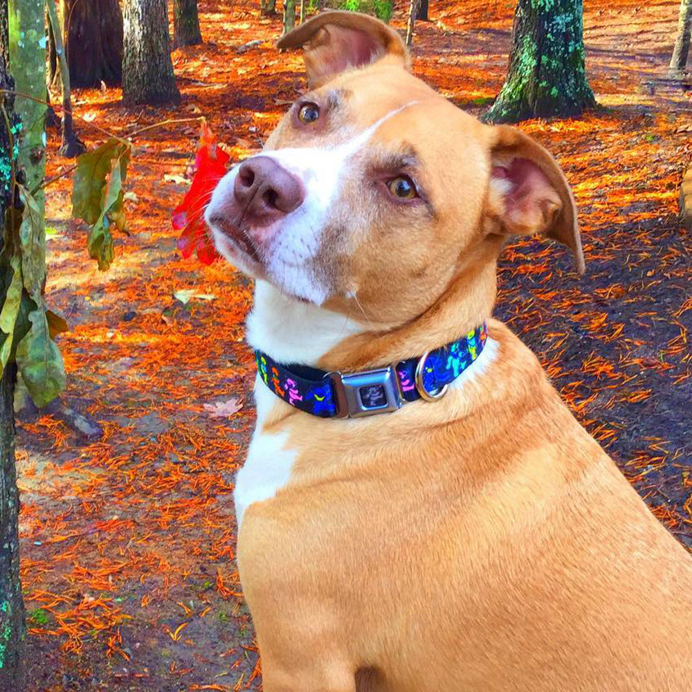 Grateful Dead Dancing Bears Seatbelt Buckle Collar