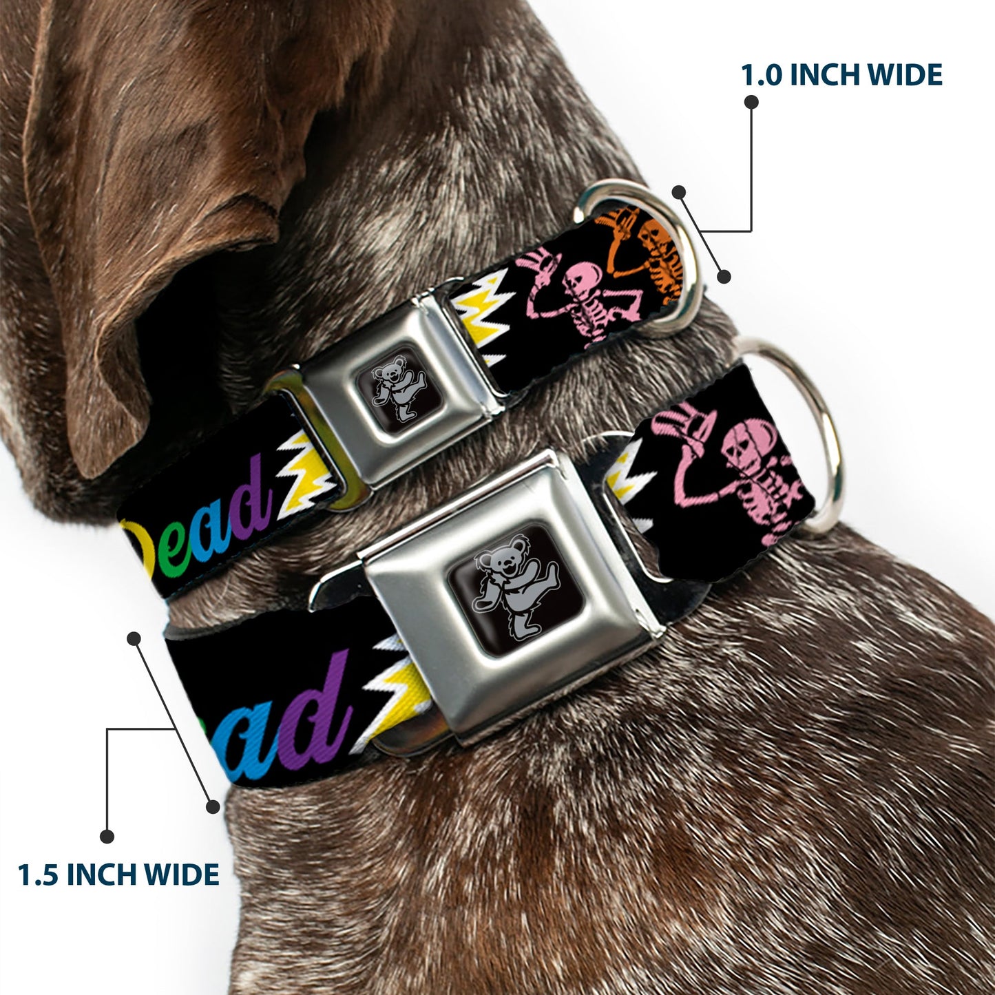 Grateful Dead Dancing Bears and Skeletons Seatbelt Buckle Collar