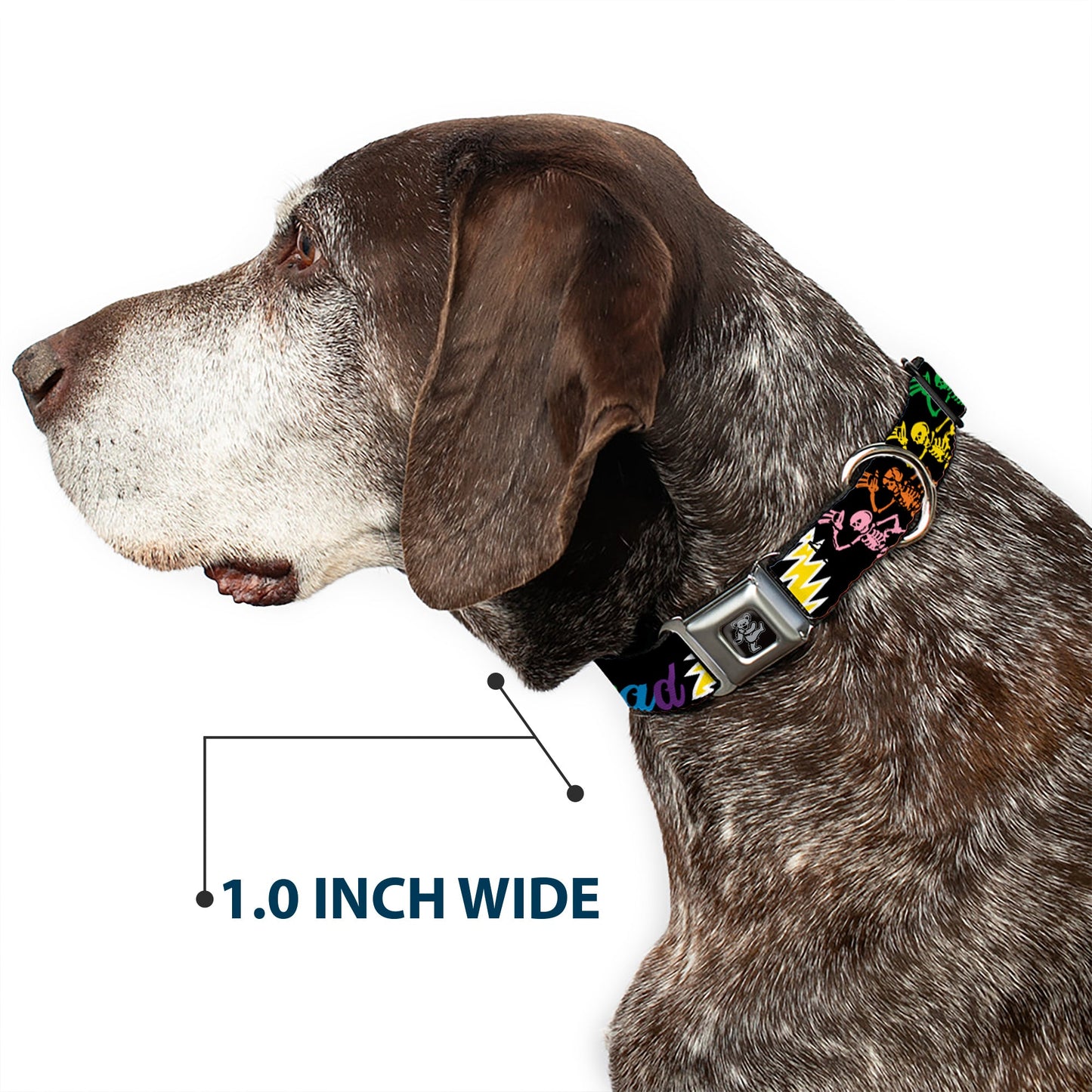 Grateful Dead Dancing Bears and Skeletons Seatbelt Buckle Collar