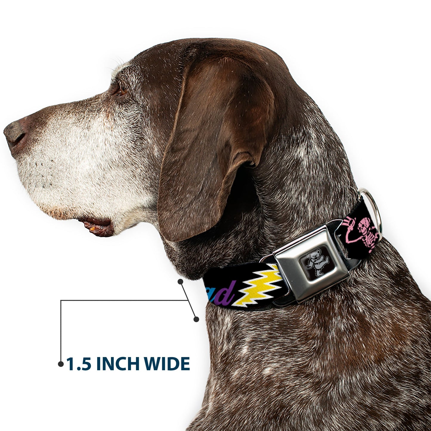Grateful Dead Dancing Bears and Skeletons Seatbelt Buckle Collar
