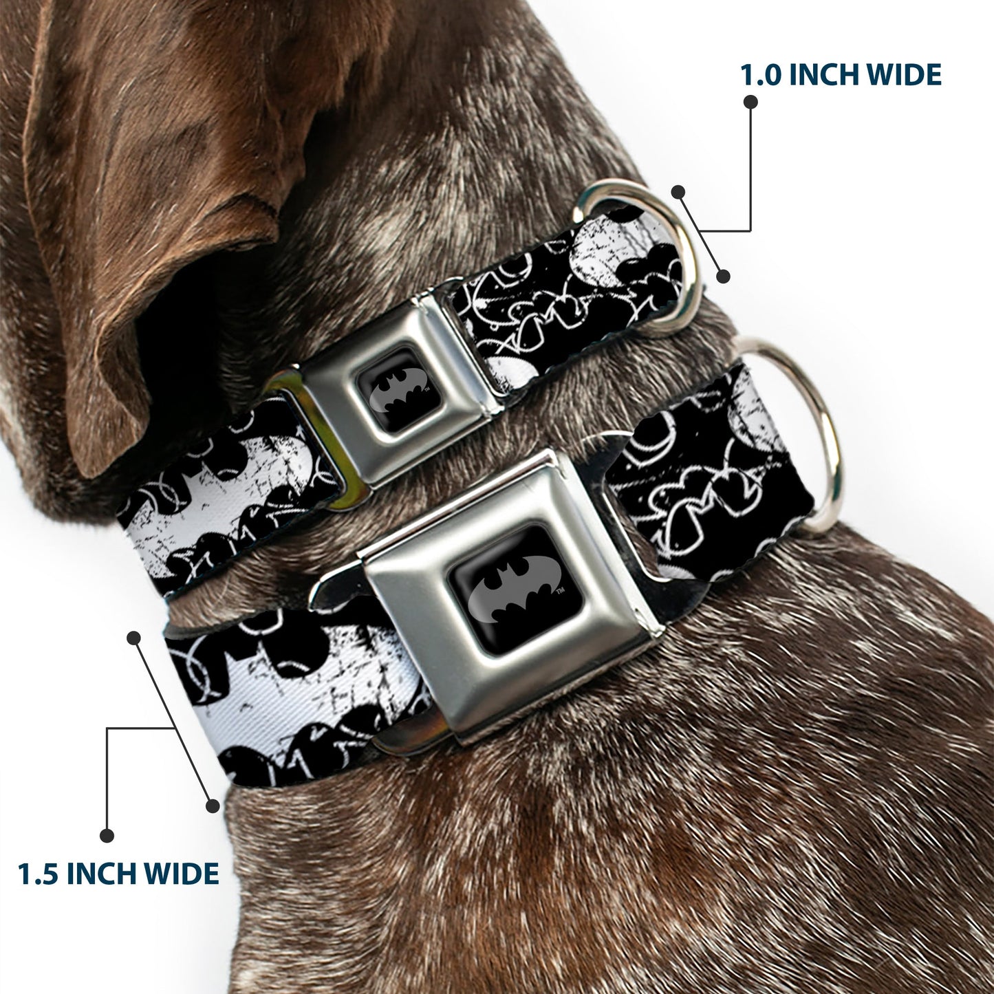 Batman Outlines Seatbelt Buckle Collar
