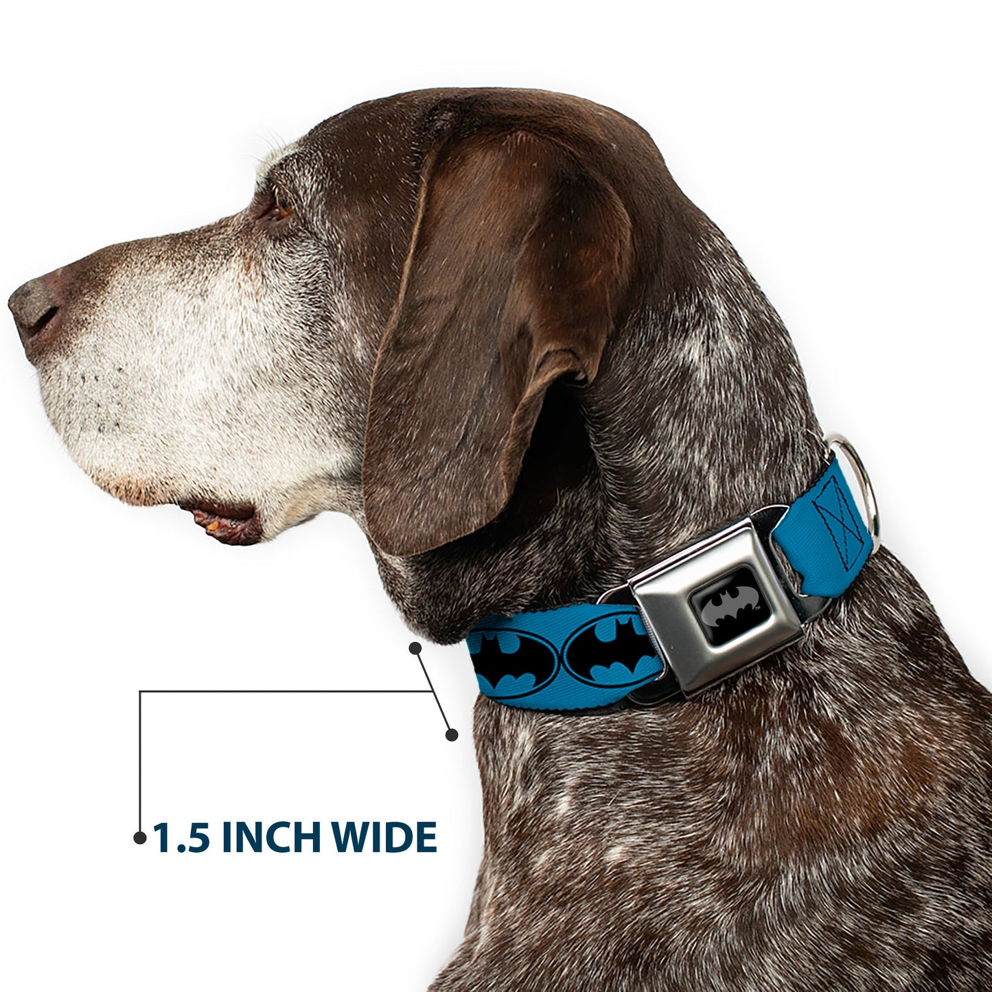 Batman Bat Signal Seatbelt Buckle Collar