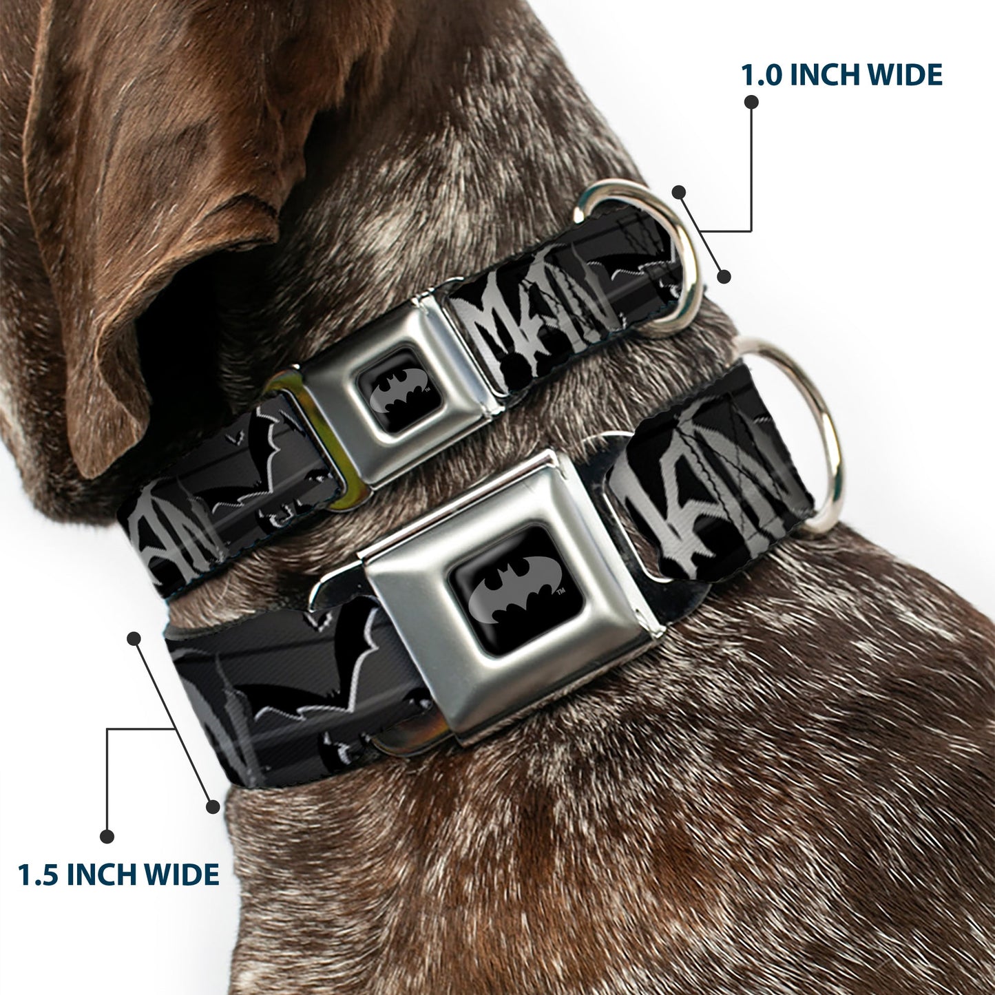 Batman Flying Bats Seatbelt Buckle Collar