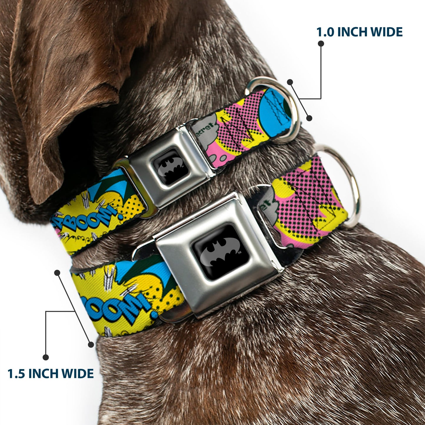 Batman Batgirl Seatbelt Buckle Collar