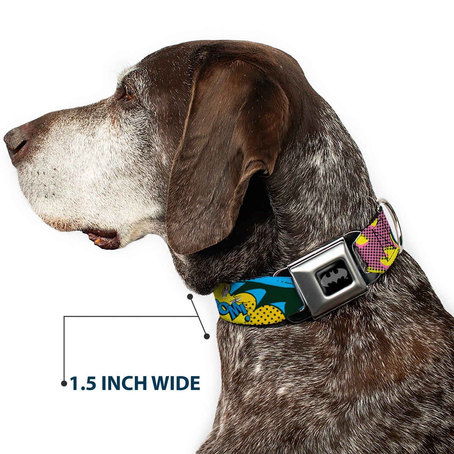 Batman Batgirl Seatbelt Buckle Collar