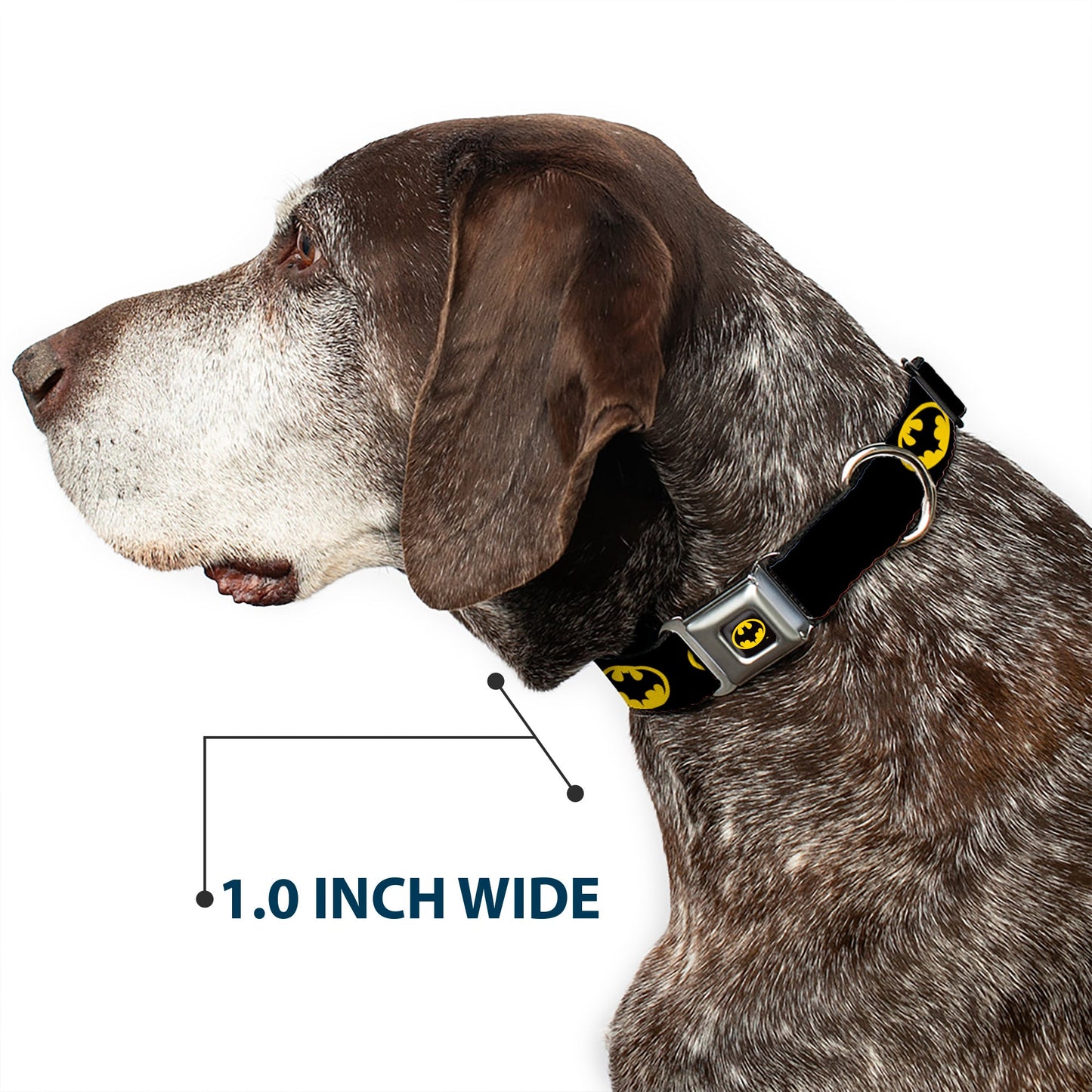 Batman 1989 Logo Full Color Black Yellow Seatbelt Buckle Collar