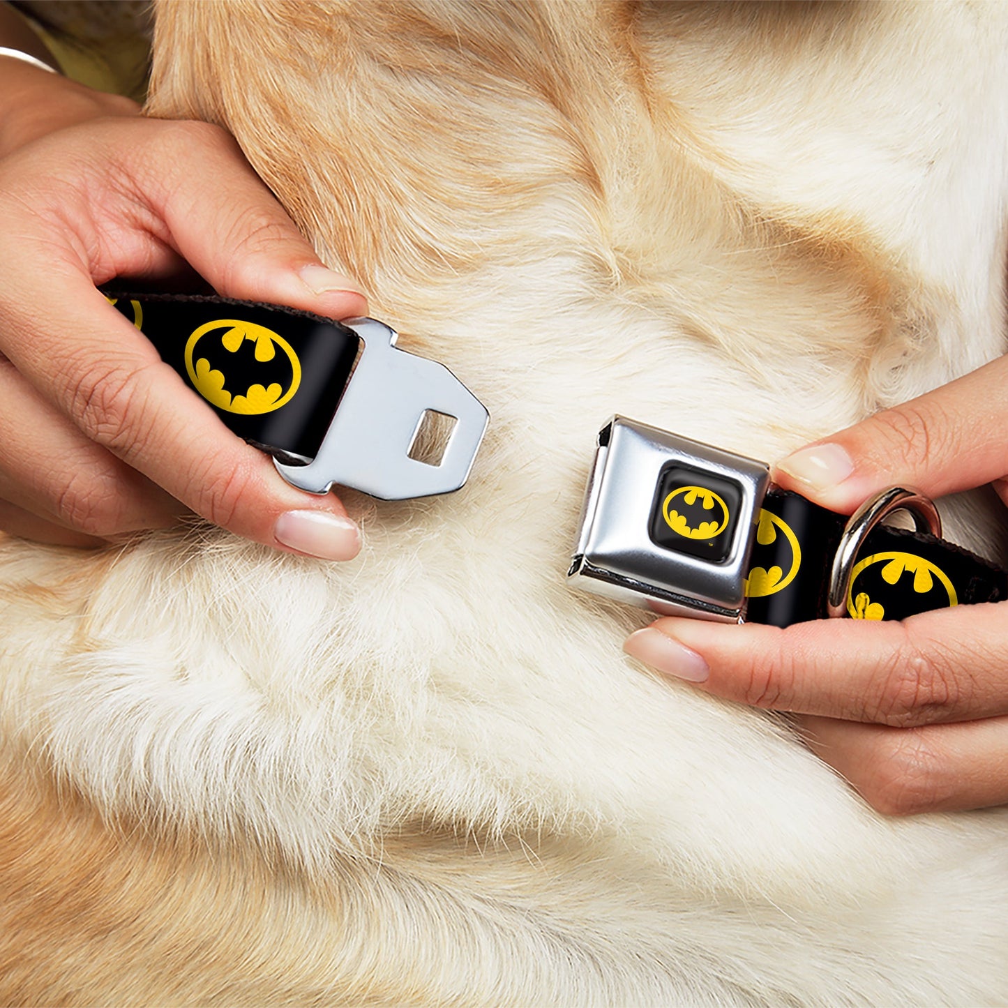 Batman 1989 Logo Full Color Black Yellow Seatbelt Buckle Collar