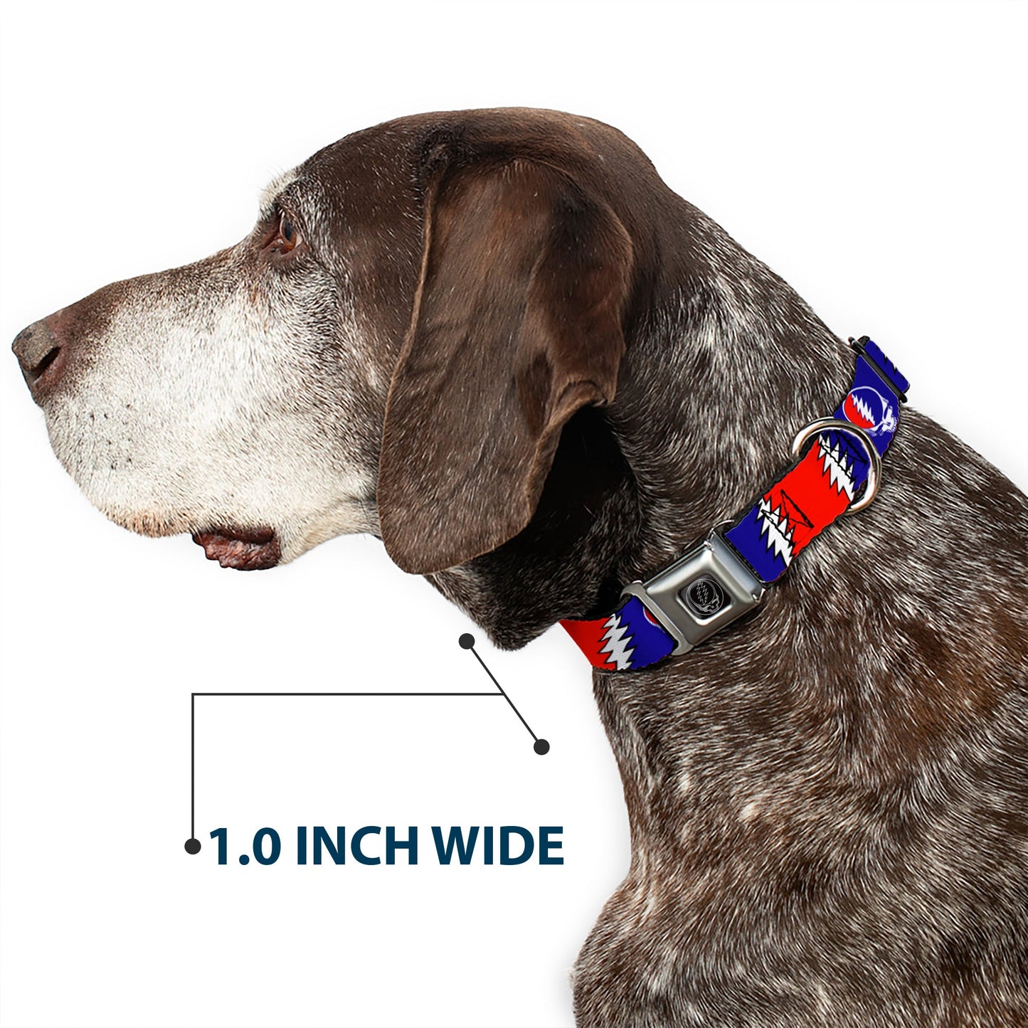Grateful Dead Steal Your Face Seatbelt Buckle Collar