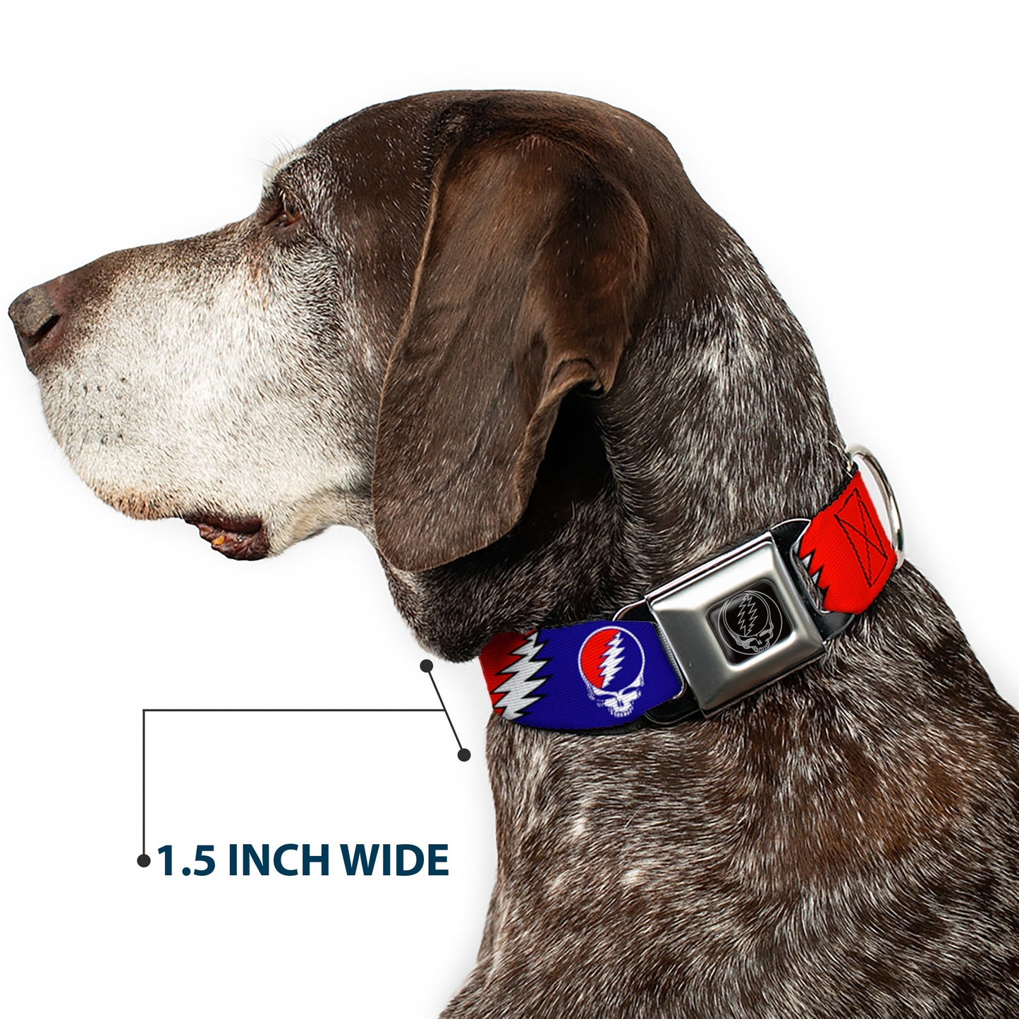 Grateful Dead Steal Your Face Seatbelt Buckle Collar