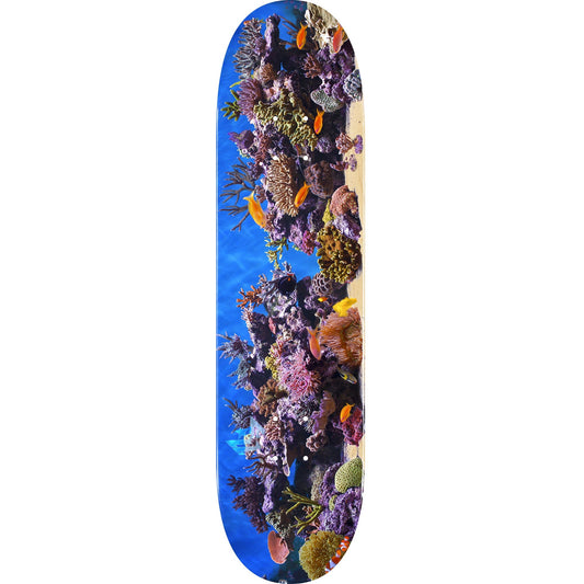 Mini Logo Fish Tank 18 Mini Skateboard Deck 191 - 7.5ƒ??