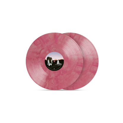 Death From Above 1979 – The Physical World (Eleventh Anniversary Edition) on Pink Splotch Vinyl Record