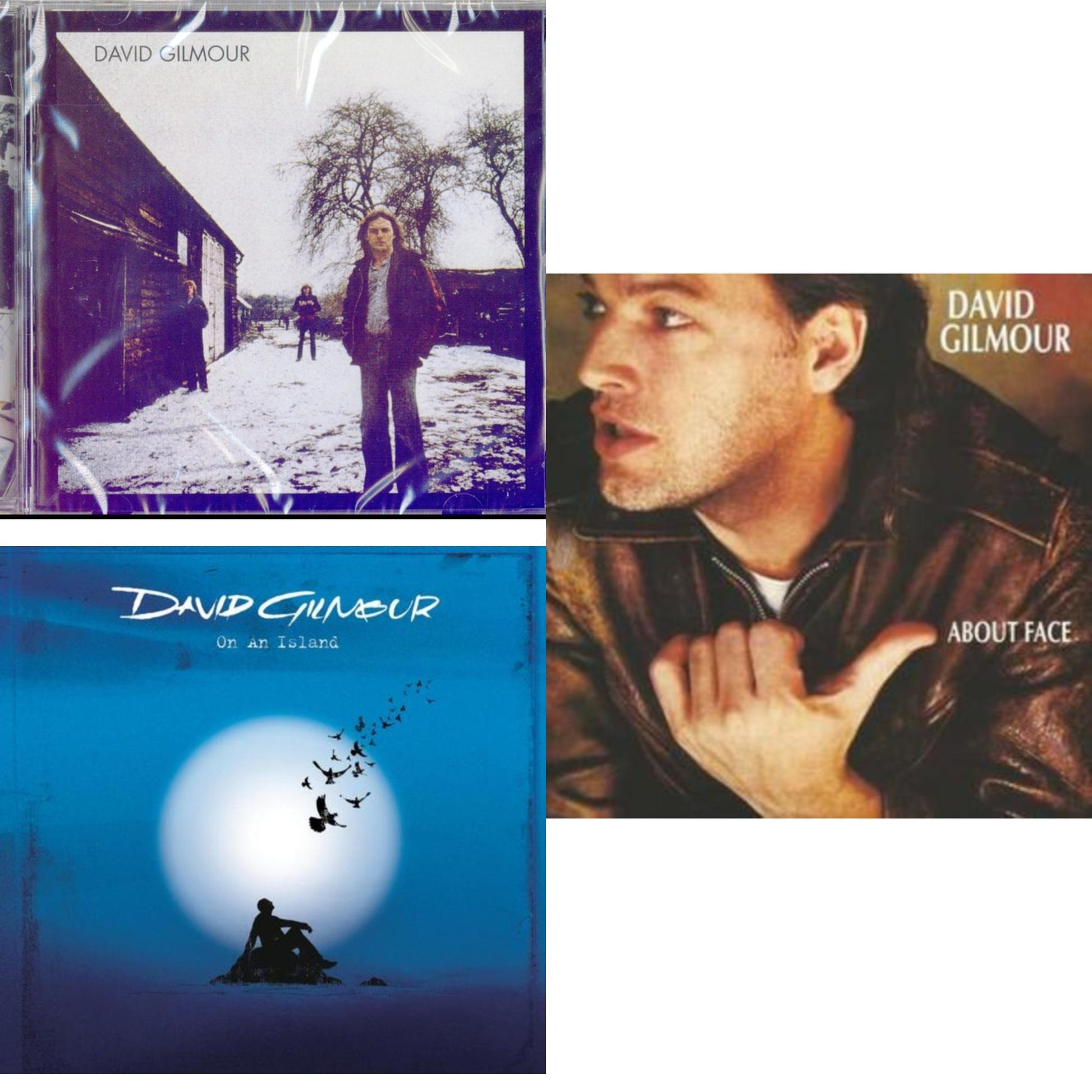 David Gilmour - On An Island & David Gilmour & About Face - CD Bundle