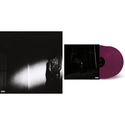 Destroy Lonely - No Stylist & If Looks Could Kill (Translucent Purple Vinyl/3LP) Vinyl Record Bundle