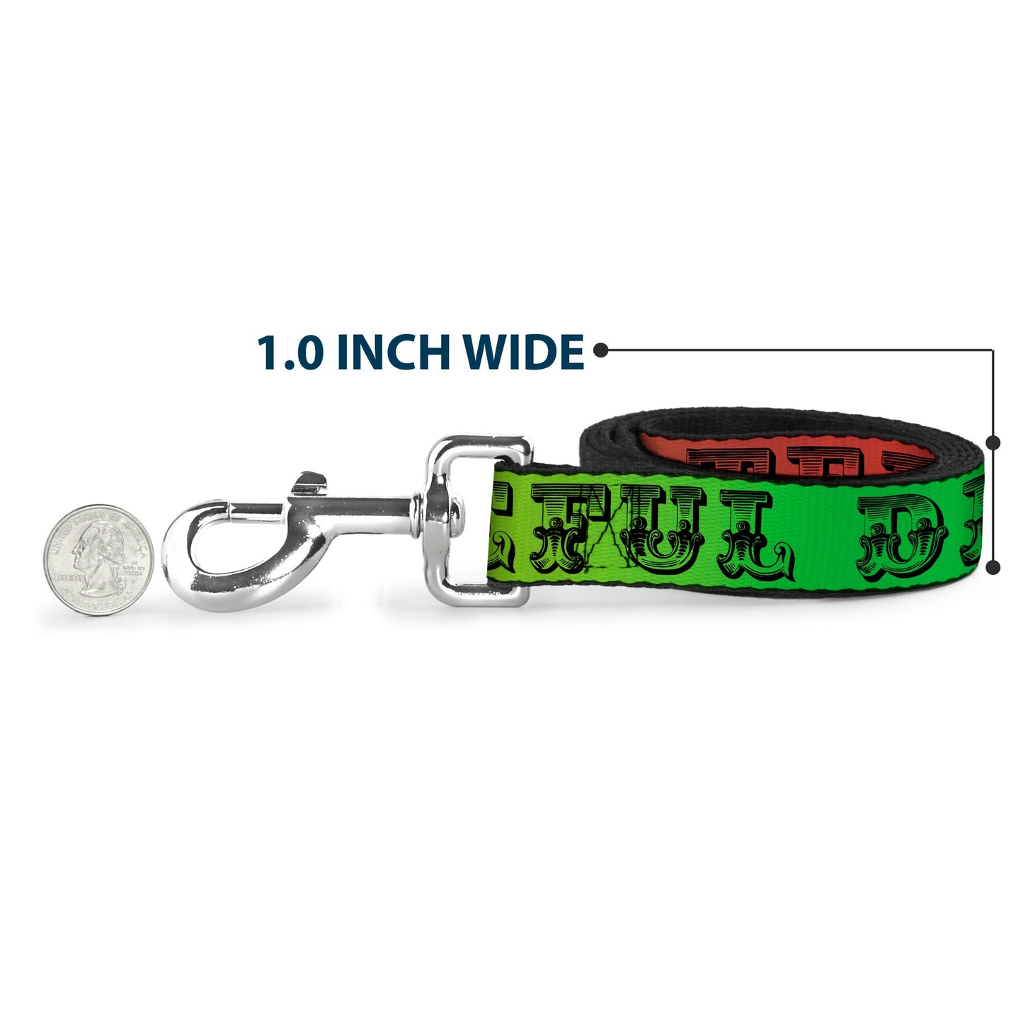 Grateful Dead Text With Skull & Roses Rainbow Fade Dog Leash