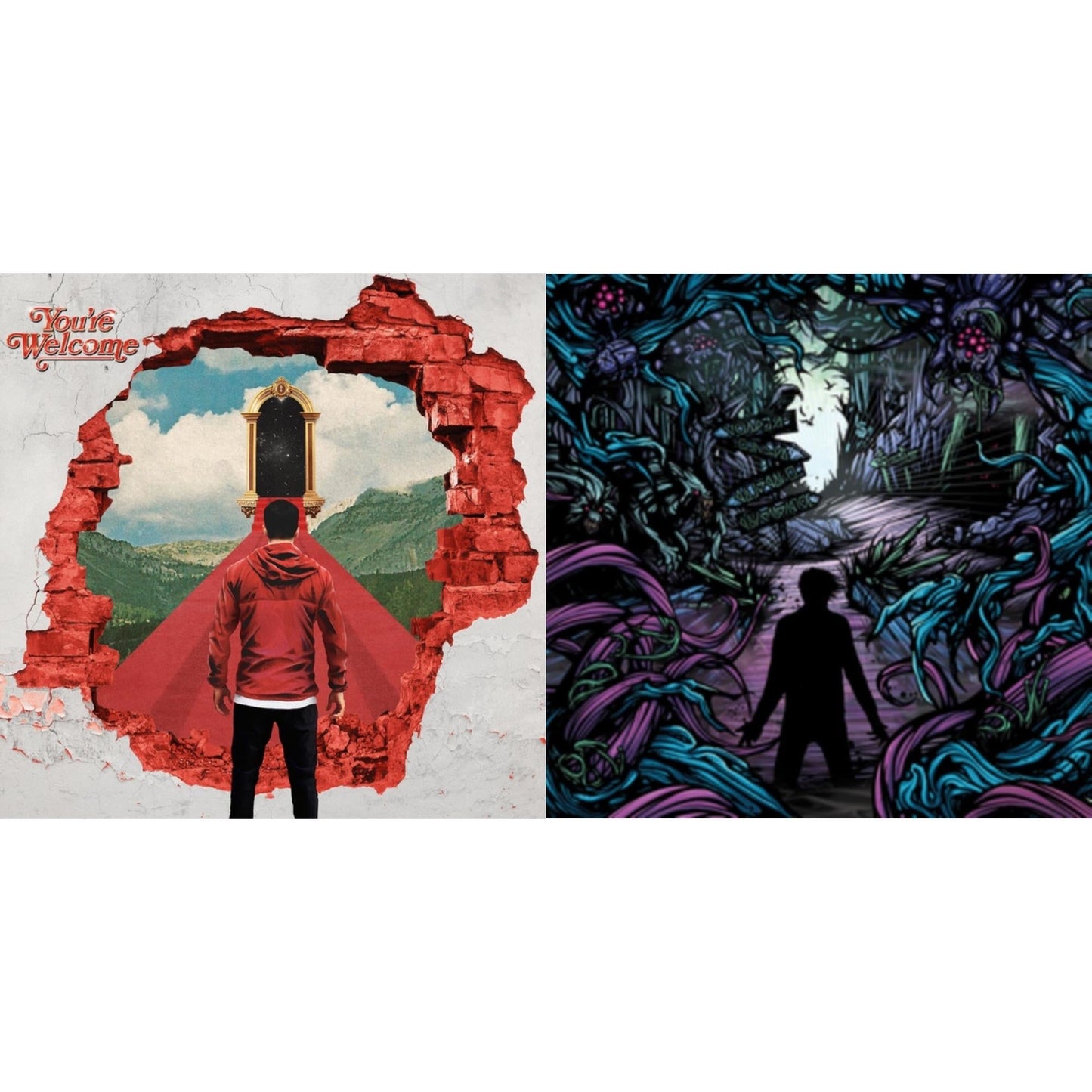 Day To Remember - You're Welcome & Homesick - LP Vinyl Bundle