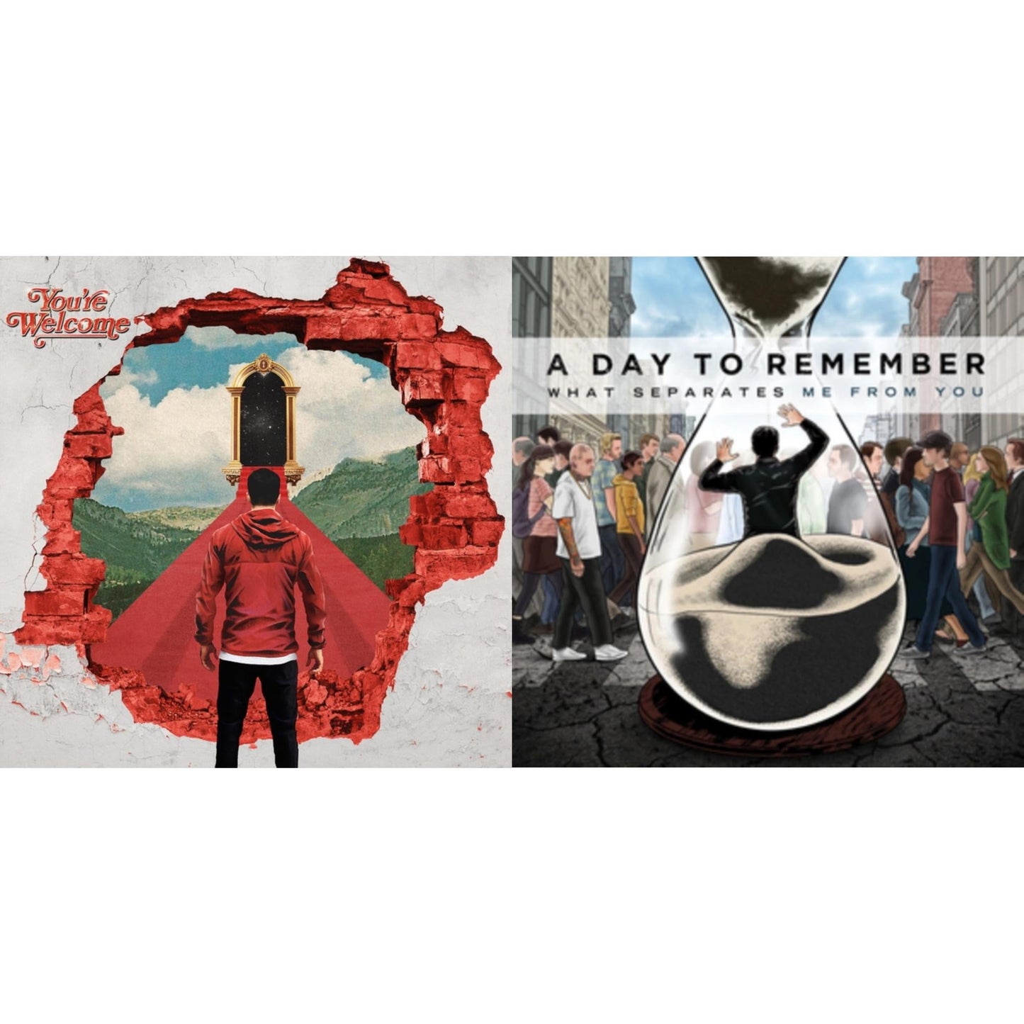 Day To Remember - You're Welcome & What Separates Me From You - LP Vinyl Bundle