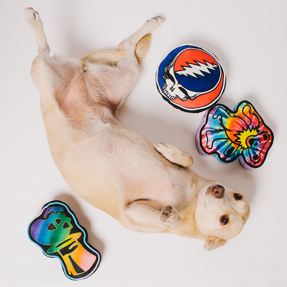 Grateful Dead Steal Your Face Skull Plush Squesker Dog Toy