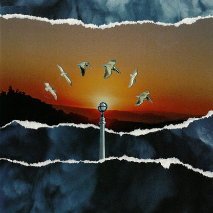 Daisyhead – If You Find It Let Me Know (Orange LP Vinyl) Vinyl Record