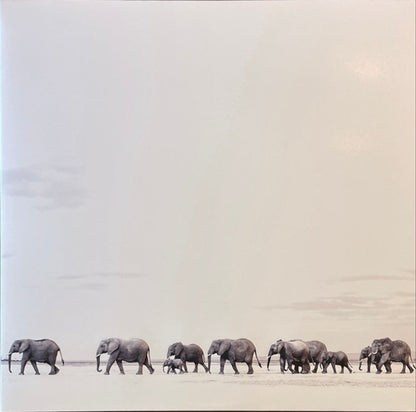 Dave Matthews Band – Where Are You Going: The Singles (2-LP Vinyl) Vinyl Record