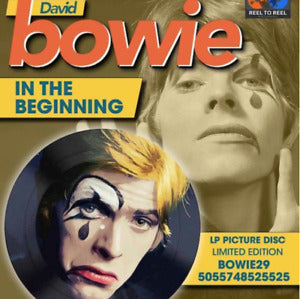 David Bowie  In The Beginning Limited Edition Picture Disc Vinyl Record
