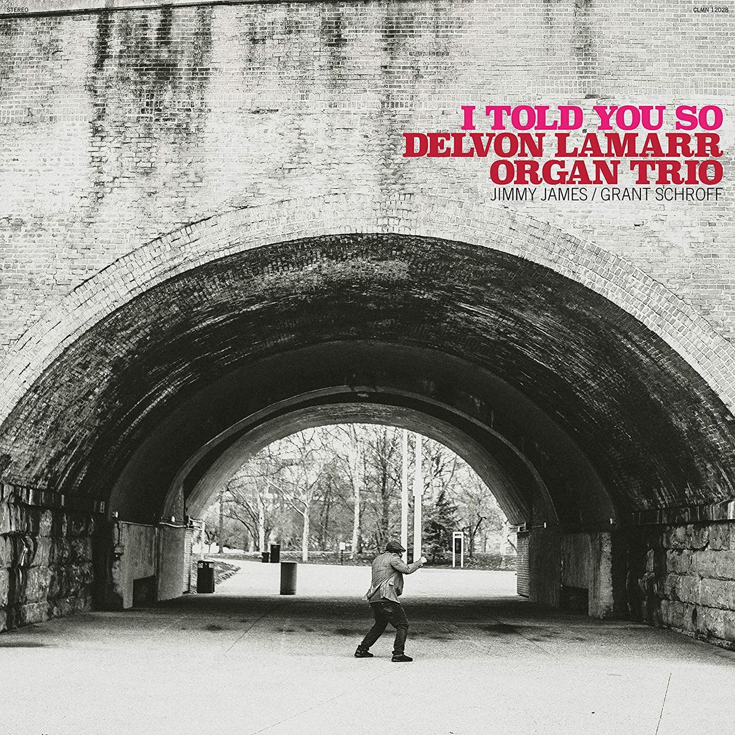 I Told You So (Black Vinyl) [Vinyl] Vinyl Record