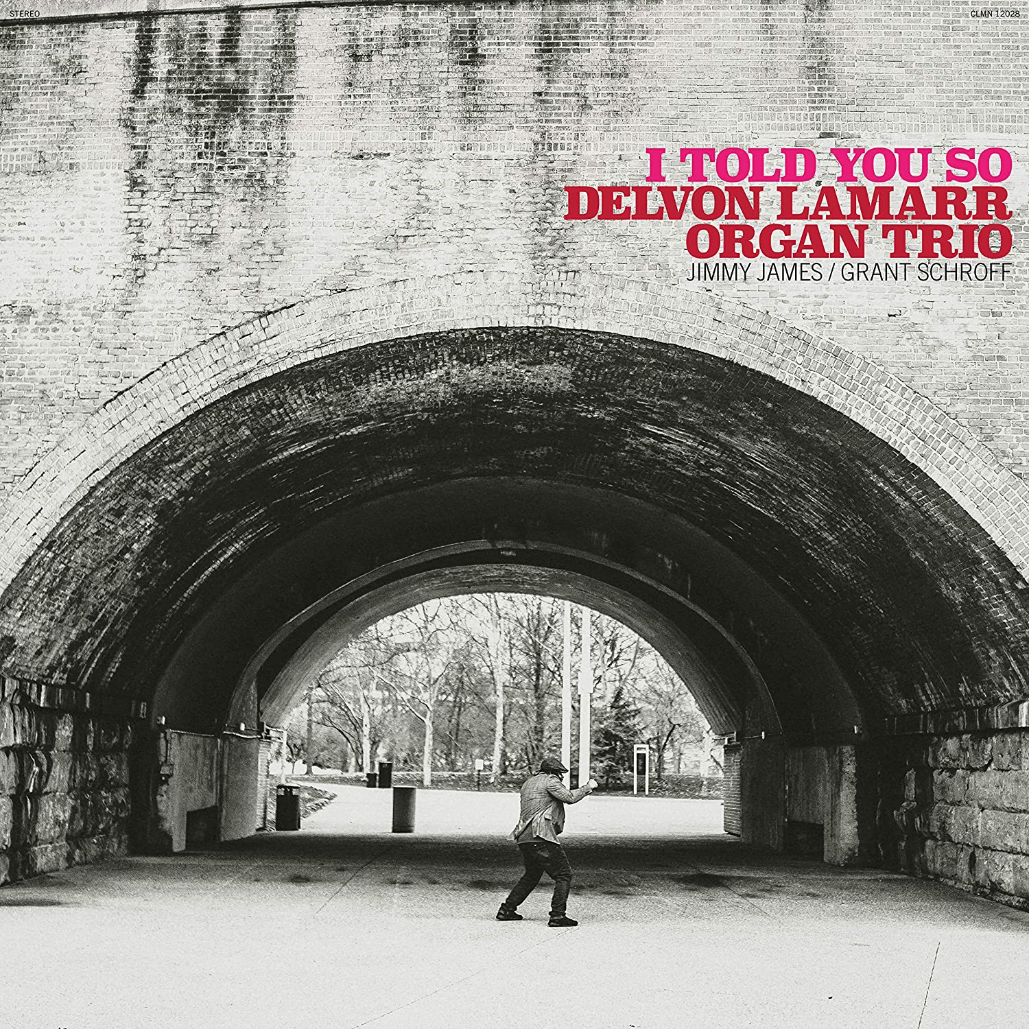 I Told You So (Black Vinyl) [Vinyl] Vinyl Record
