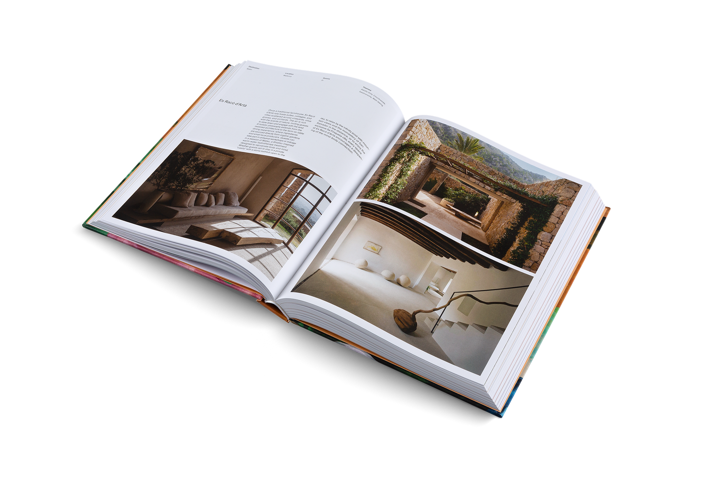 Designed to Stay Book