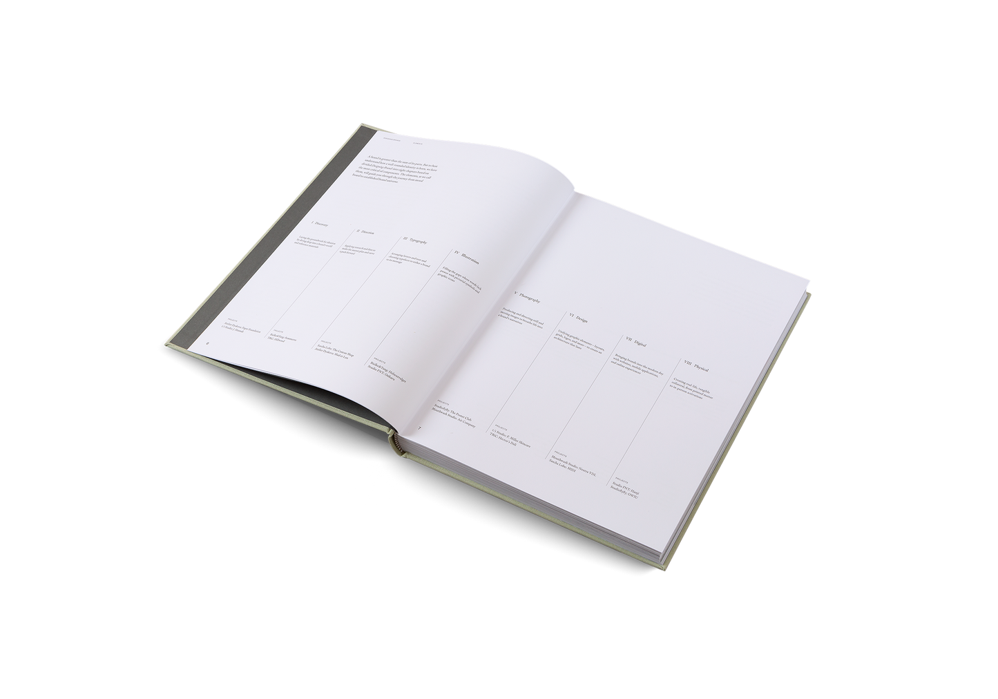 Designing Brands Book