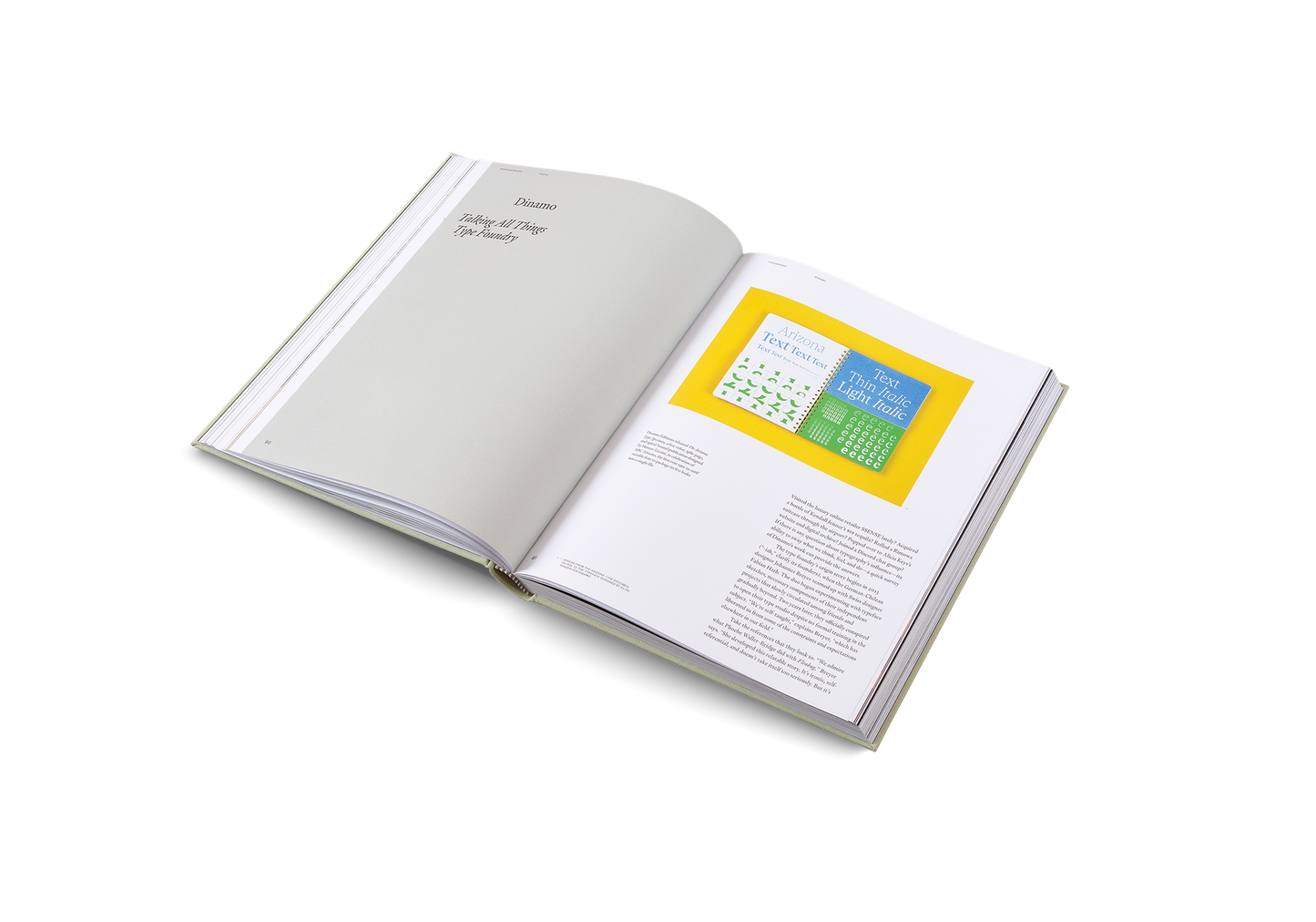 Designing Brands Book