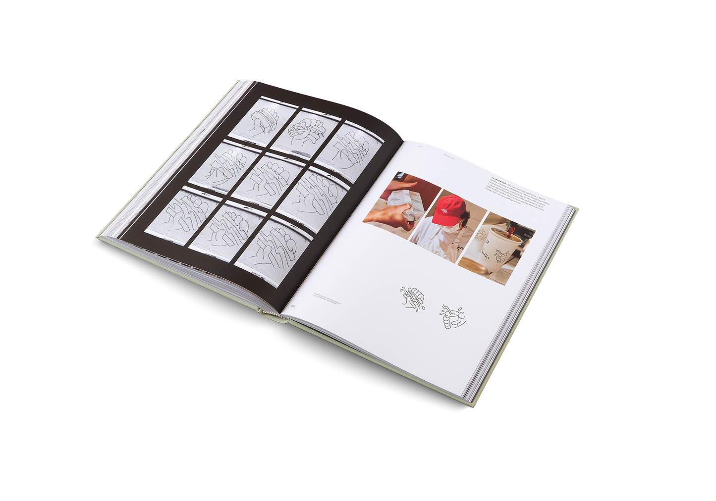 Designing Brands Book
