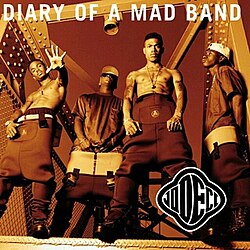 Pre-Order: Diary Of A Mad Band [LP] Vinyl Record