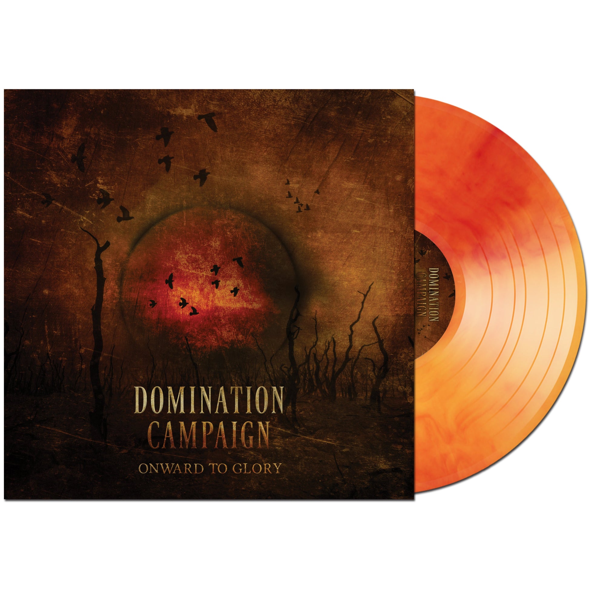 Domination Campaign - Onward to Glory on Red & Yellow Marbled Vinyl LP Vinyl Record