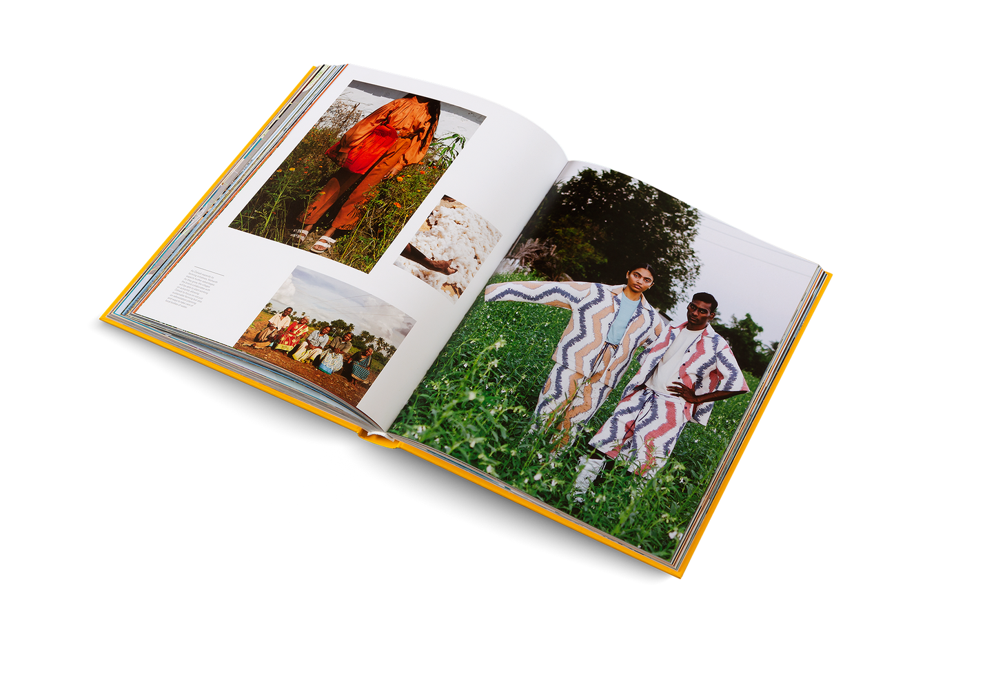 Dream Businesses Book
