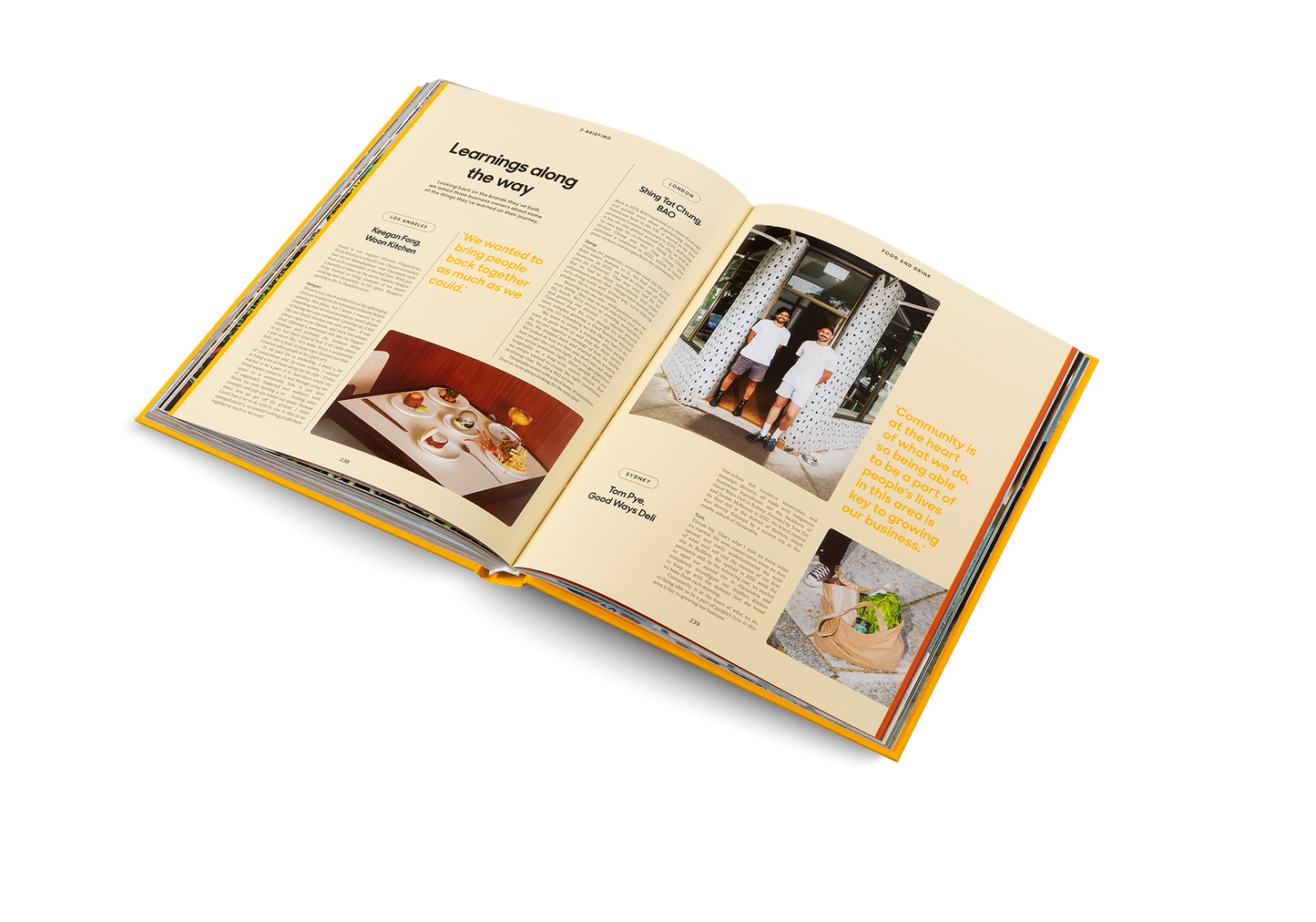 Dream Businesses Book